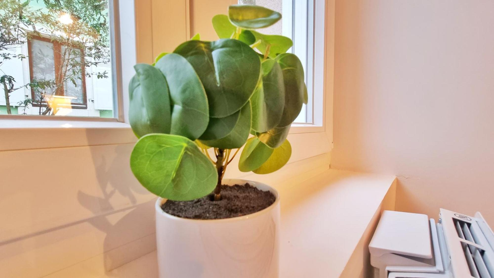 La Buhl Verte - Chic Et Moderne - Calme - Fibre - Relax Bnb Exteriér fotografie
